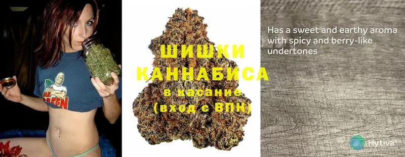 МАРИХУАНА SATIVA & INDICA  Глазов 